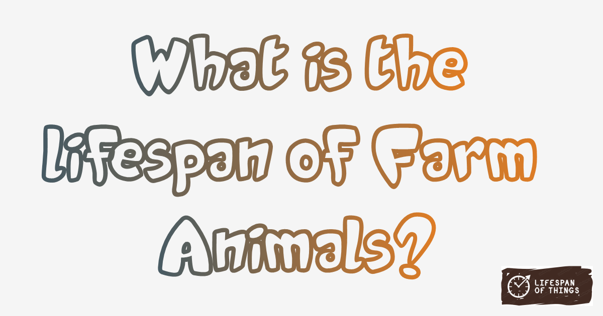 Lifespan of Farm Animals