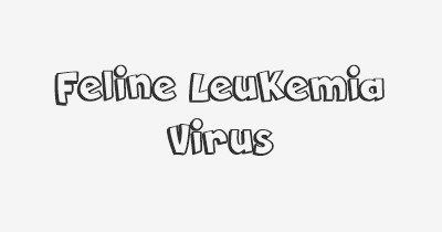 Thumbnail for lifespan of Feline Leukemia Virus