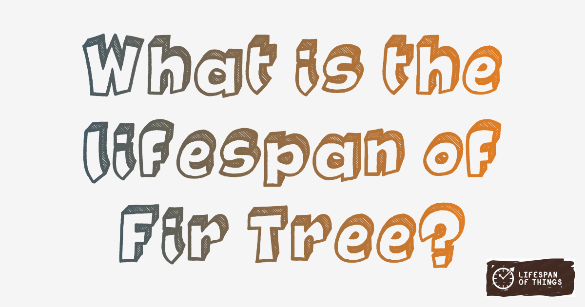 Lifespan of Fir Tree
