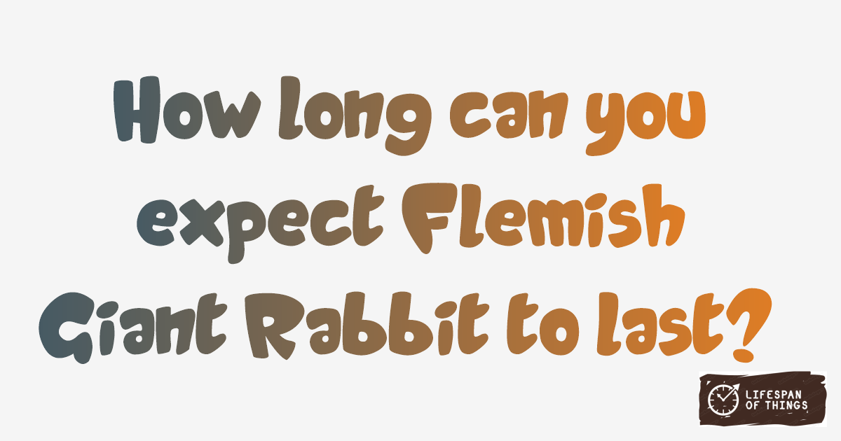 Lifespan of Flemish Giant Rabbit