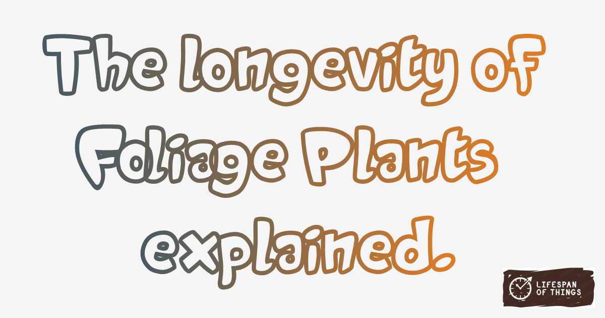 Lifespan of Foliage Plants