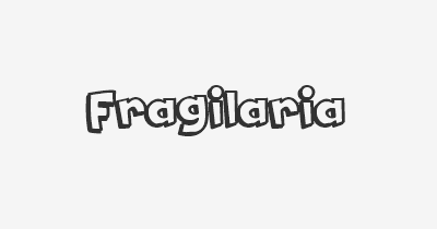 Thumbnail for lifespan of Fragilaria