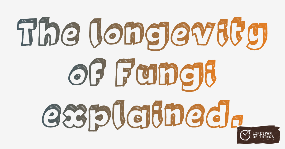 Lifespan of Fungi