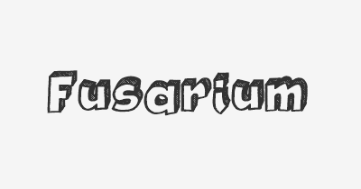 Thumbnail for lifespan of Fusarium
