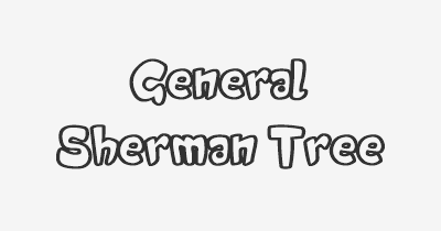 Thumbnail for lifespan of General Sherman Tree