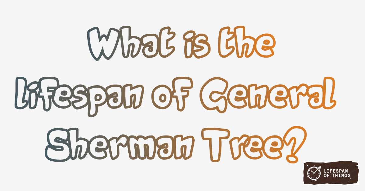 Lifespan of General Sherman Tree