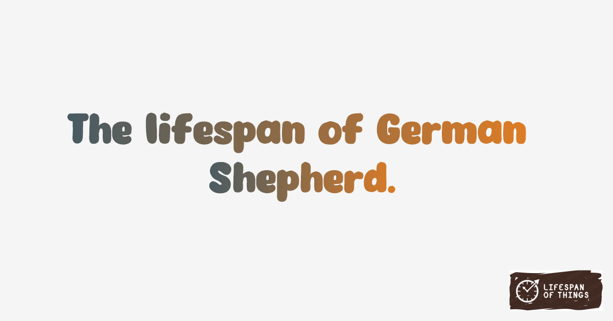 Lifespan of German Shepherd