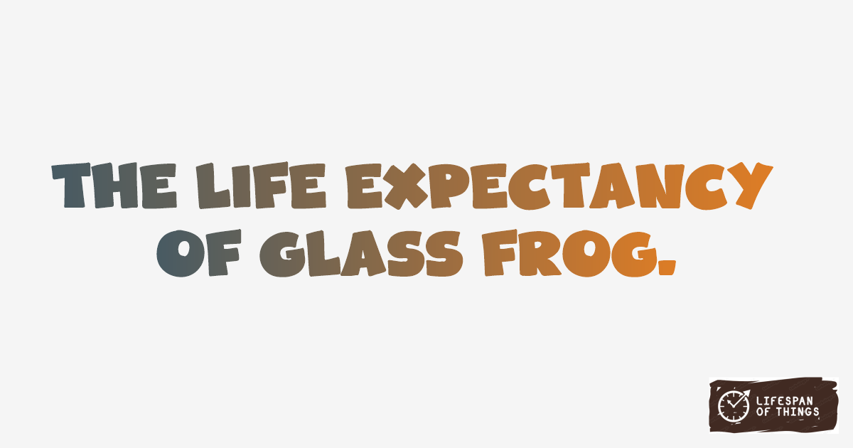 Lifespan of Glass Frog