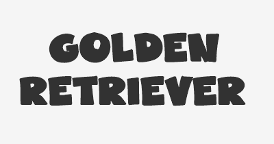 Thumbnail for lifespan of Golden Retriever