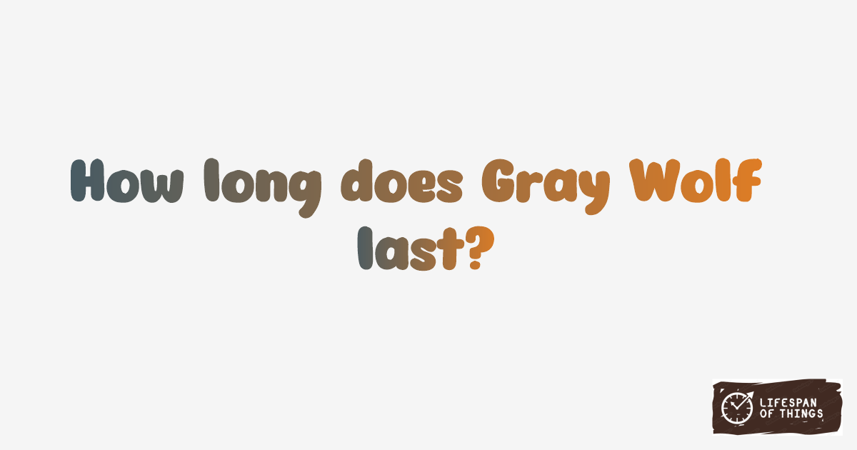 Lifespan of Gray Wolf