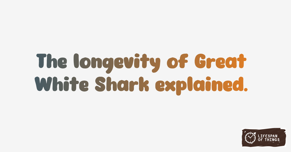 Lifespan of Great White Shark