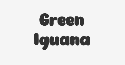 Thumbnail for lifespan of Green Iguana