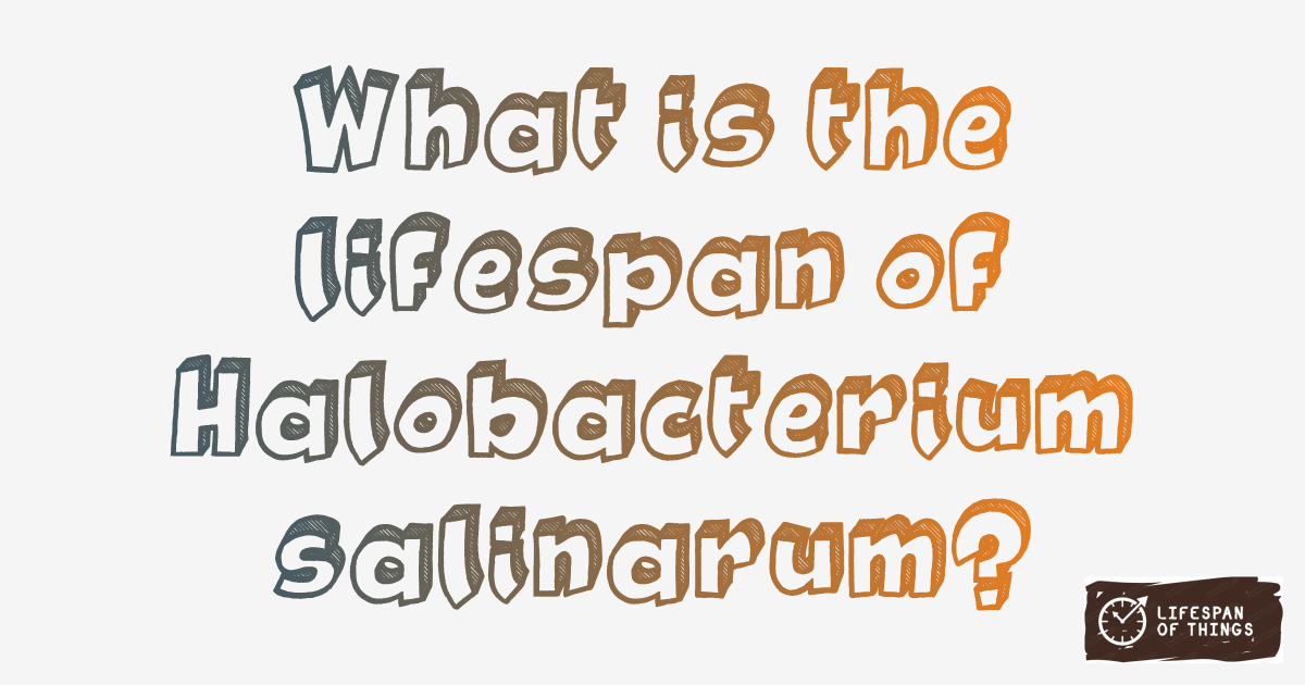 Lifespan of Halobacterium salinarum