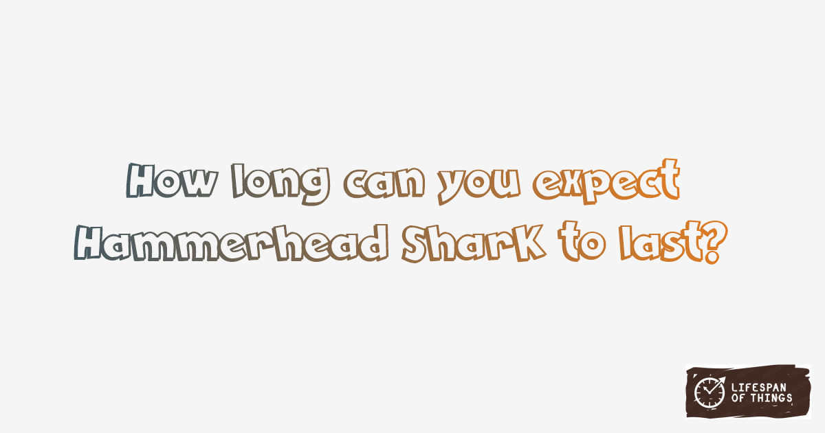 Lifespan of Hammerhead Shark