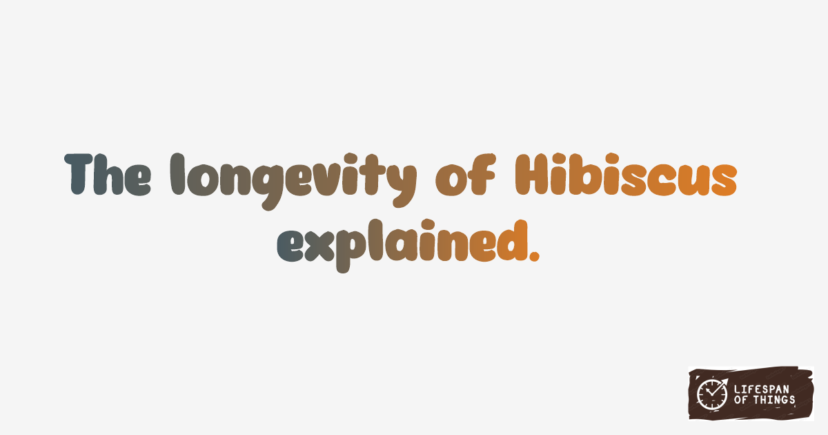 Lifespan of Hibiscus