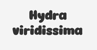 Thumbnail for lifespan of Hydra viridissima