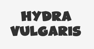 Thumbnail for lifespan of Hydra vulgaris