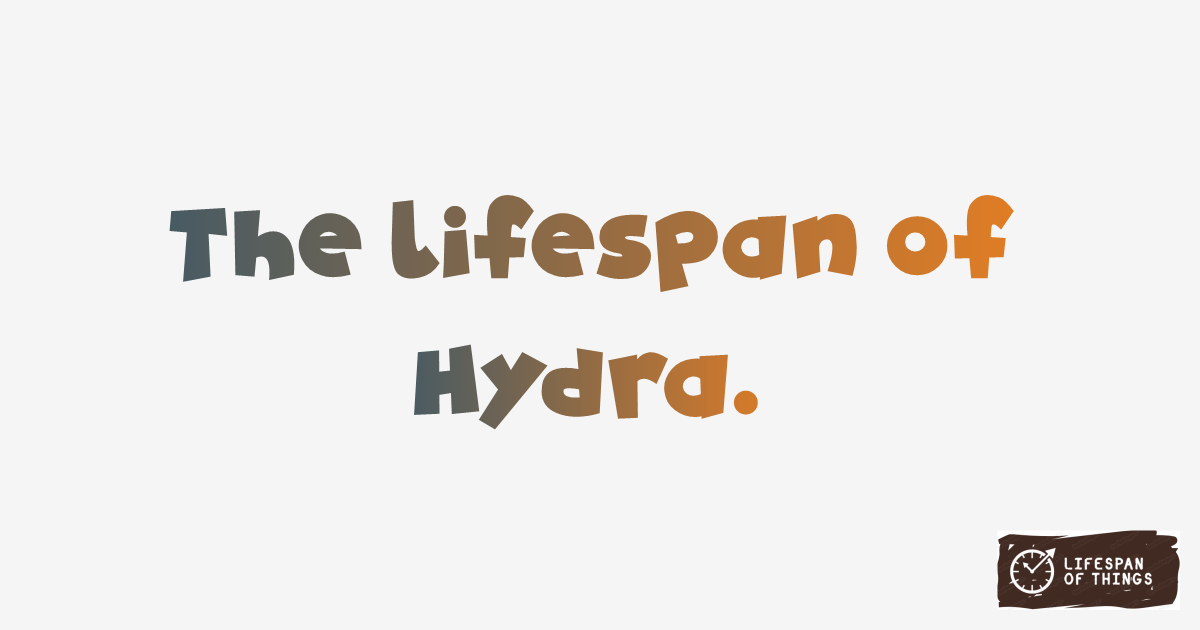 Lifespan of Hydra