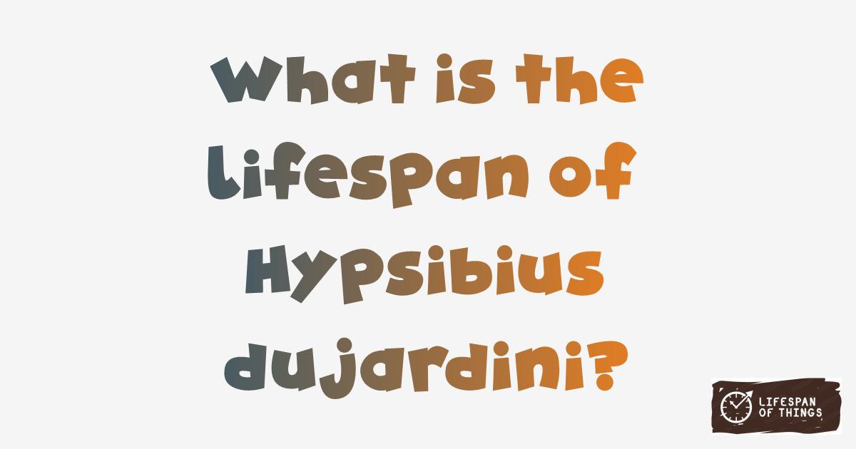 Lifespan of Hypsibius dujardini