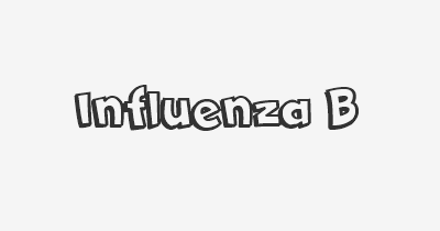 Thumbnail for lifespan of Influenza B