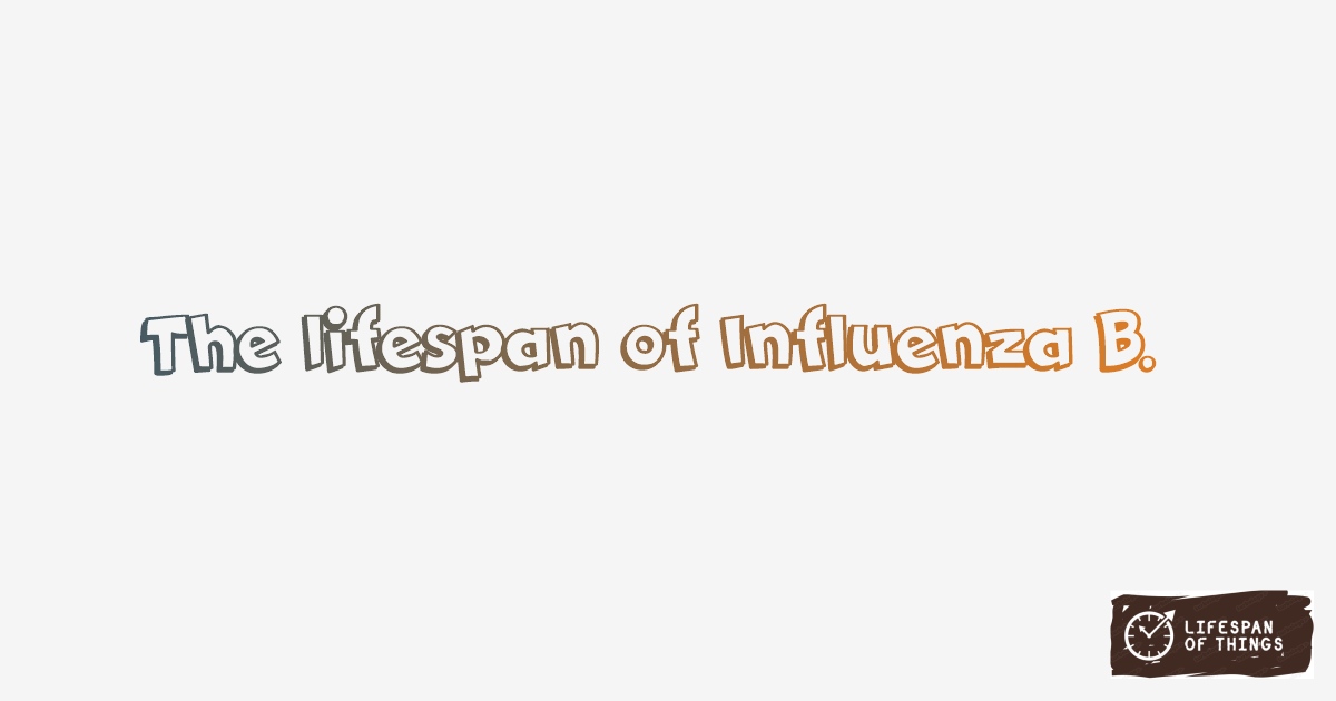 Lifespan of Influenza B