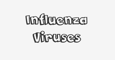 Thumbnail for lifespan of Influenza Viruses