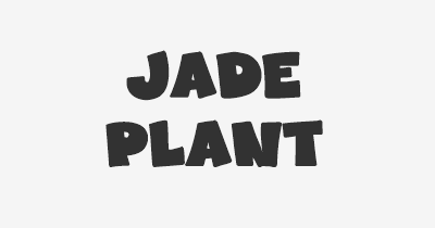 Thumbnail for lifespan of Jade Plant