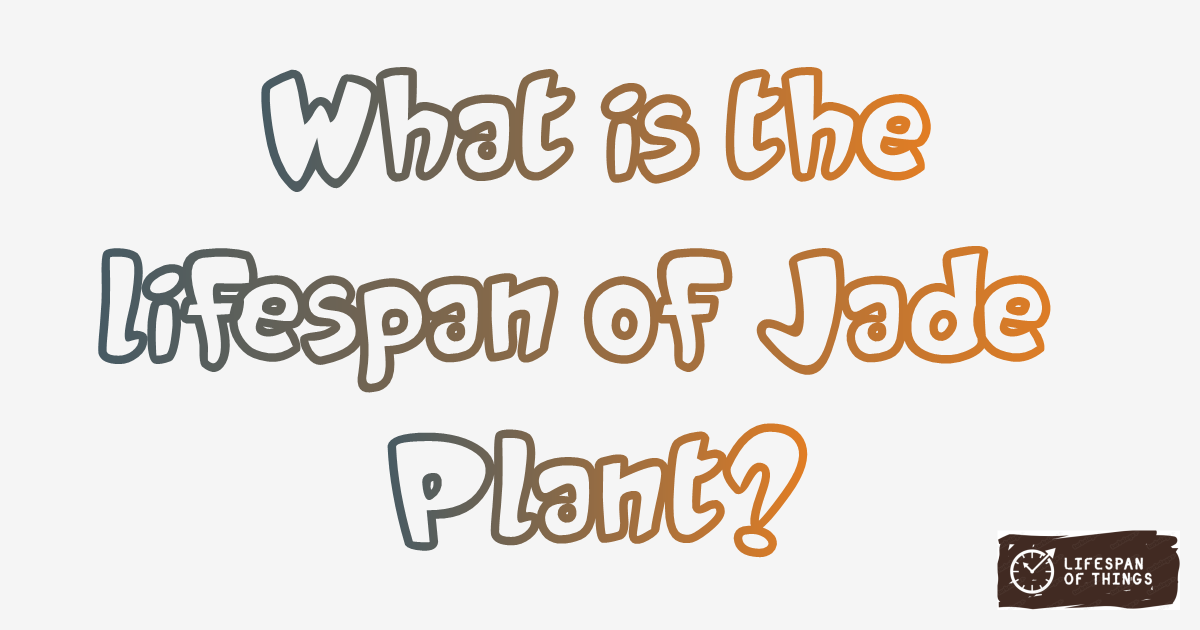 Lifespan of Jade Plant