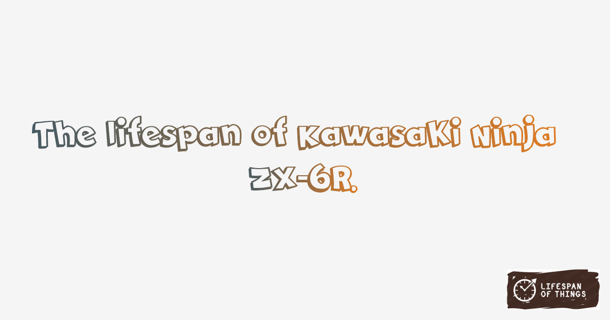 Lifespan of Kawasaki Ninja ZX-6R