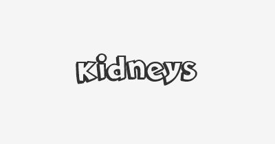 Thumbnail for lifespan of Kidneys