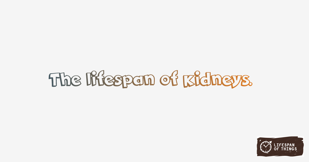 Lifespan of Kidneys