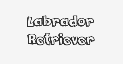 Thumbnail for lifespan of Labrador Retriever