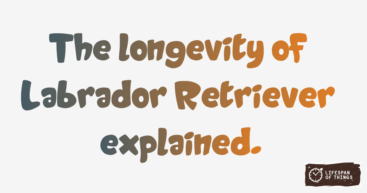 Lifespan of Labrador Retriever