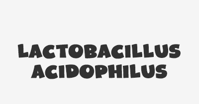 Thumbnail for lifespan of Lactobacillus acidophilus