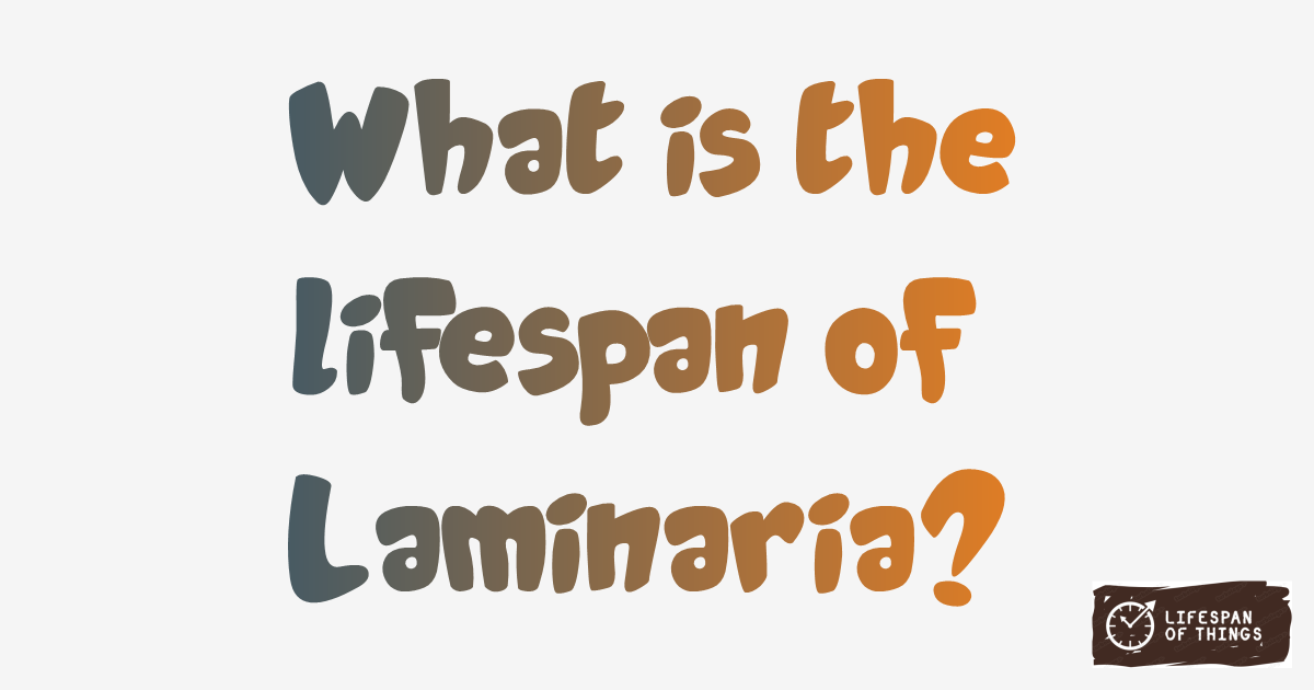 Lifespan of Laminaria