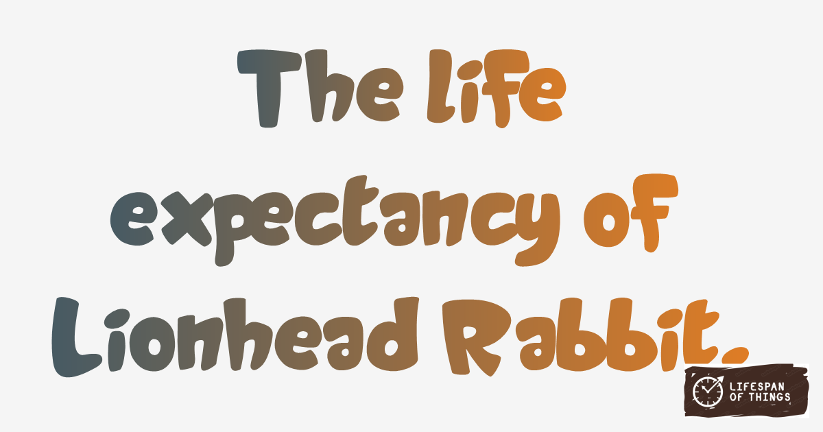 Lifespan of Lionhead Rabbit