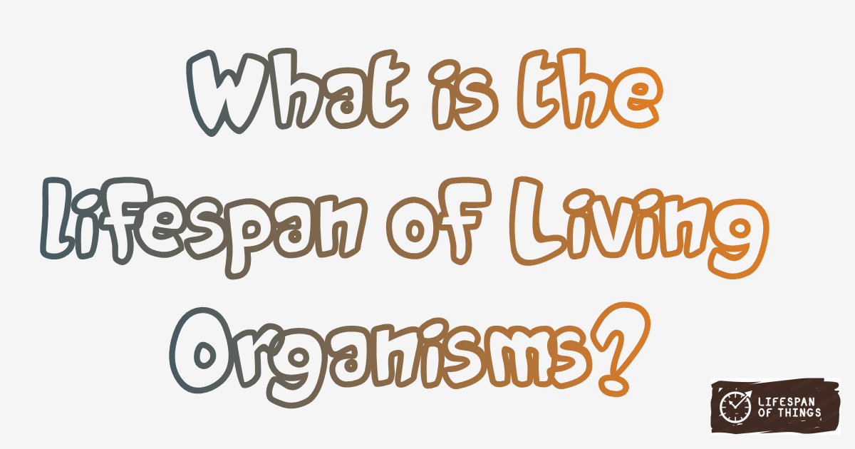 living organisms overview