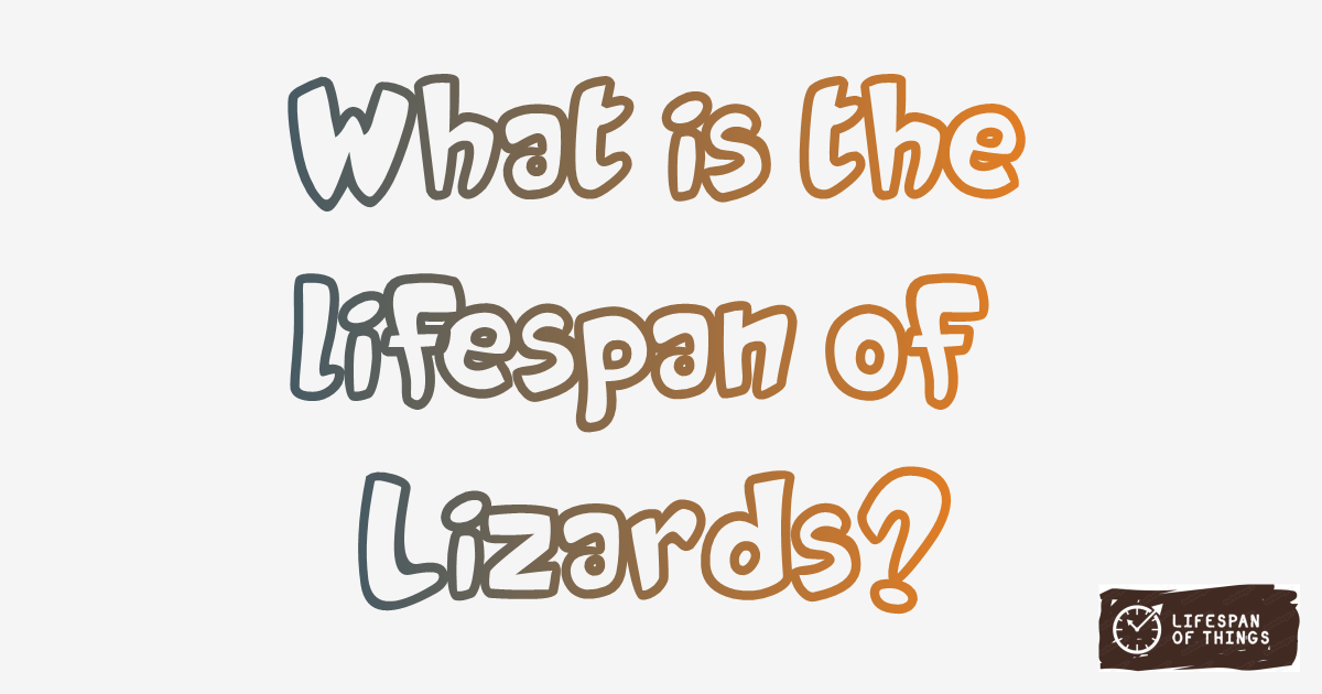 Lifespan of Lizards