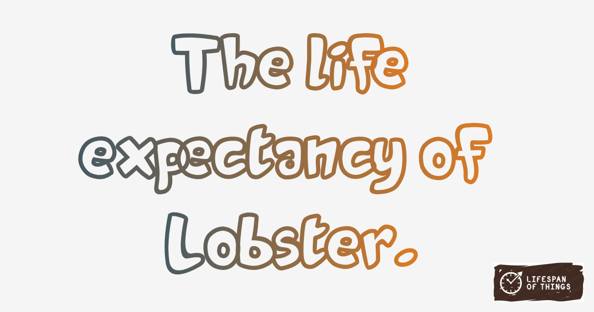 Lifespan of Lobster