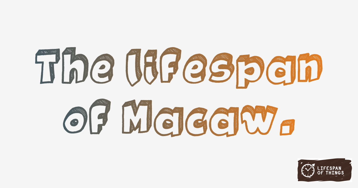 Lifespan of Macaw