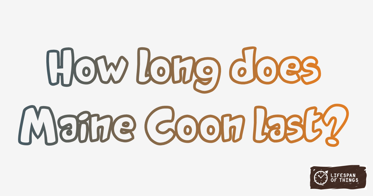 Lifespan of Maine Coon