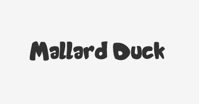 Thumbnail for lifespan of Mallard Duck