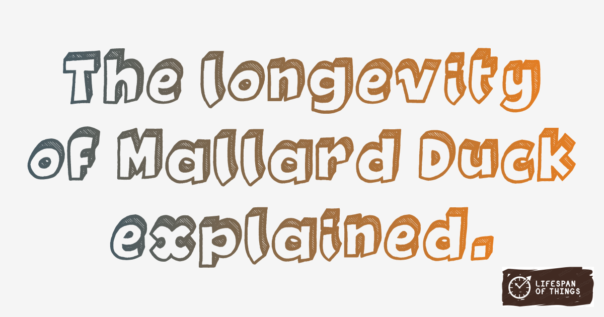 Lifespan of Mallard Duck