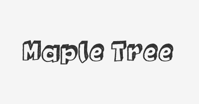 Thumbnail for lifespan of Maple Tree