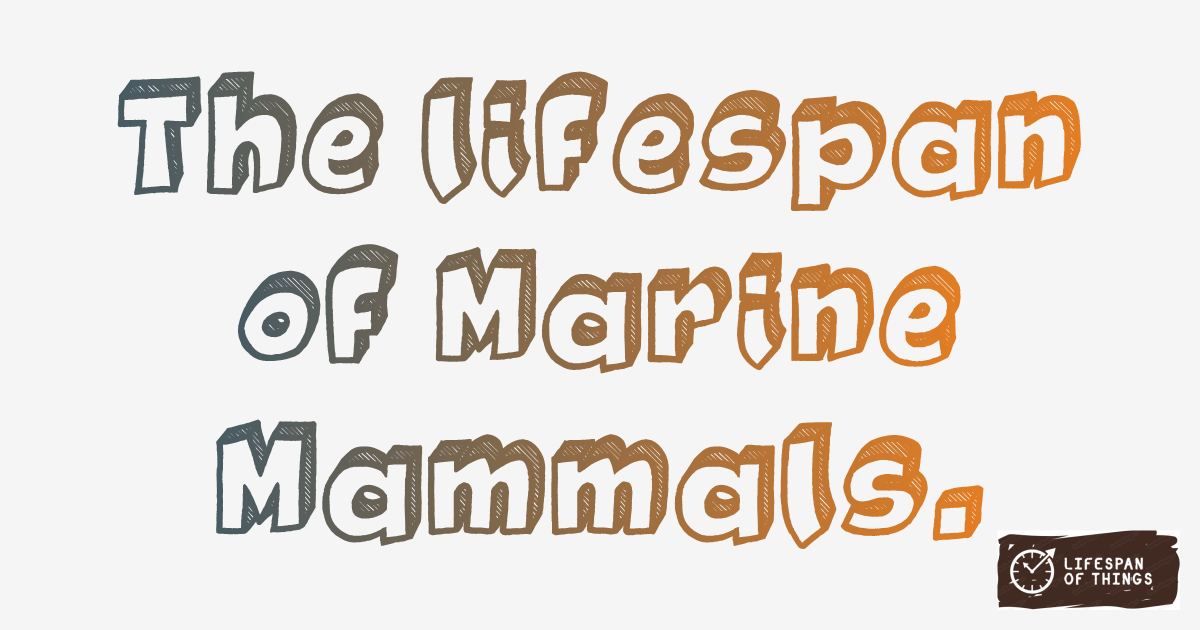 Lifespan of Marine Mammals
