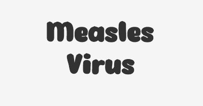 Thumbnail for lifespan of Measles Virus