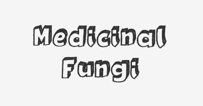 Thumbnail for lifespan of Medicinal Fungi