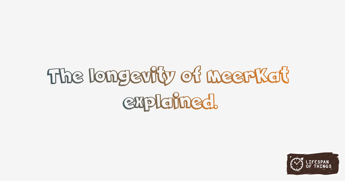 Lifespan of Meerkat
