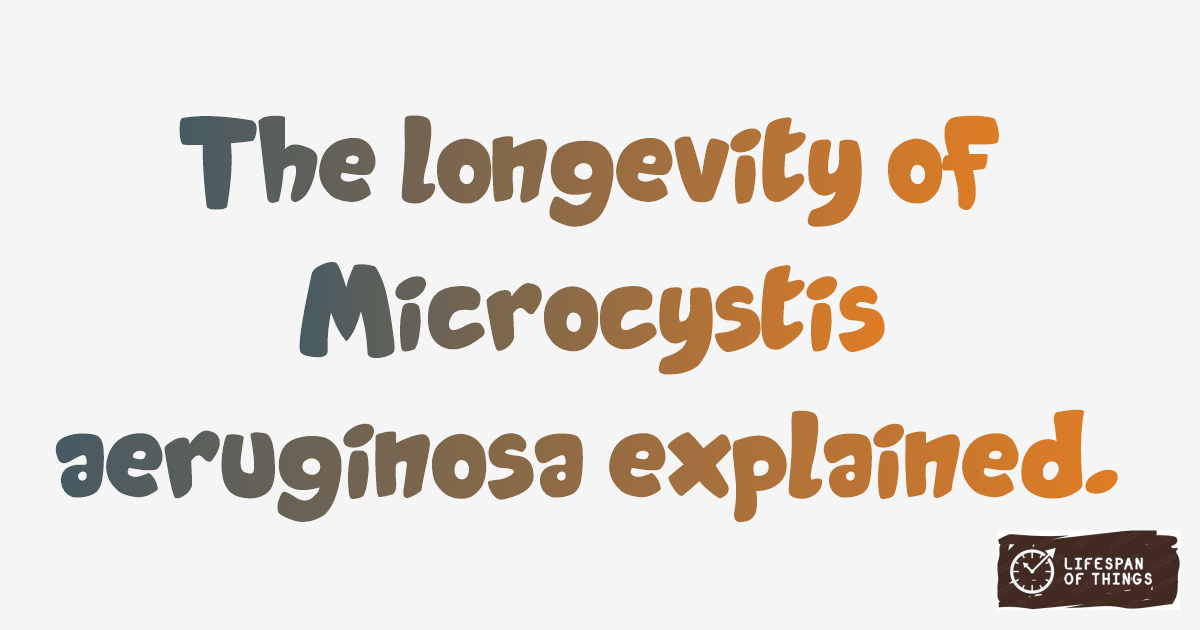 Lifespan of Microcystis aeruginosa