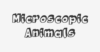 Thumbnail for lifespan of Microscopic Animals